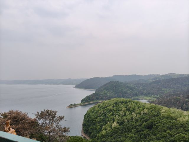 露珠