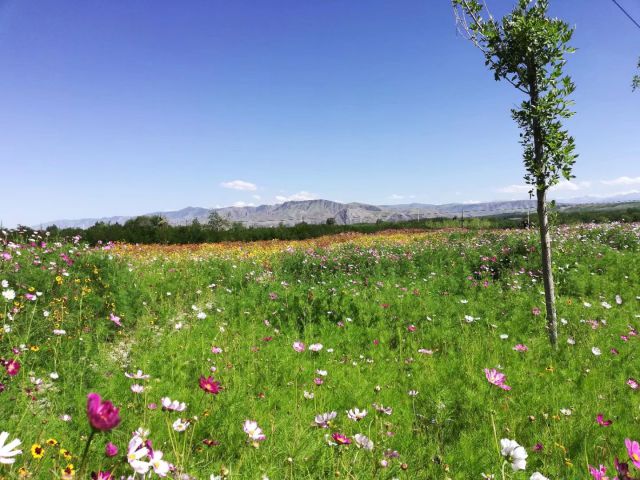 新疆特克斯八卦城-图片来源编辑网